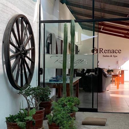 Renace Suites Tacna Ngoại thất bức ảnh