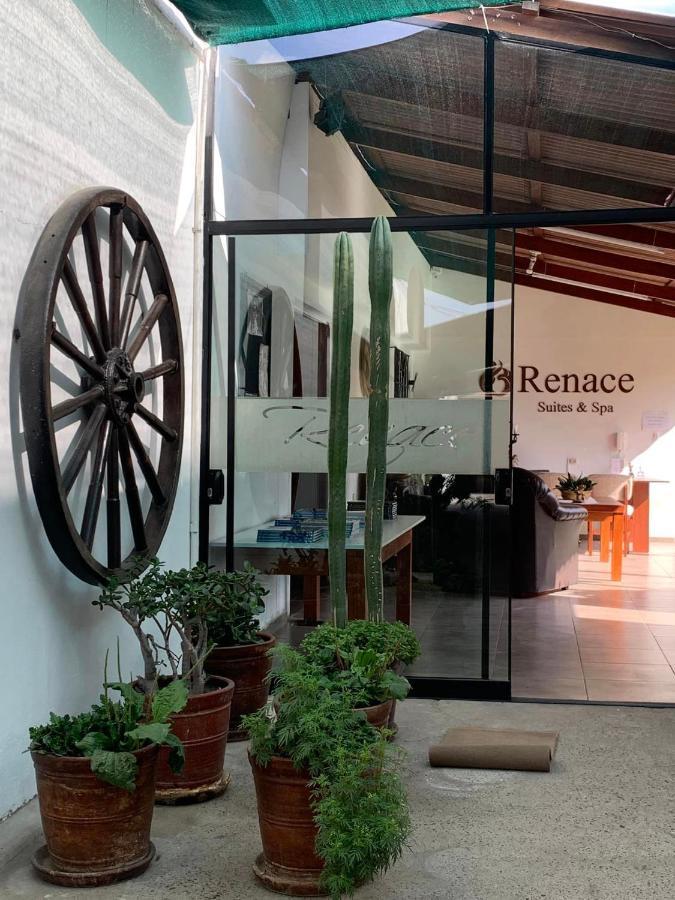 Renace Suites Tacna Ngoại thất bức ảnh